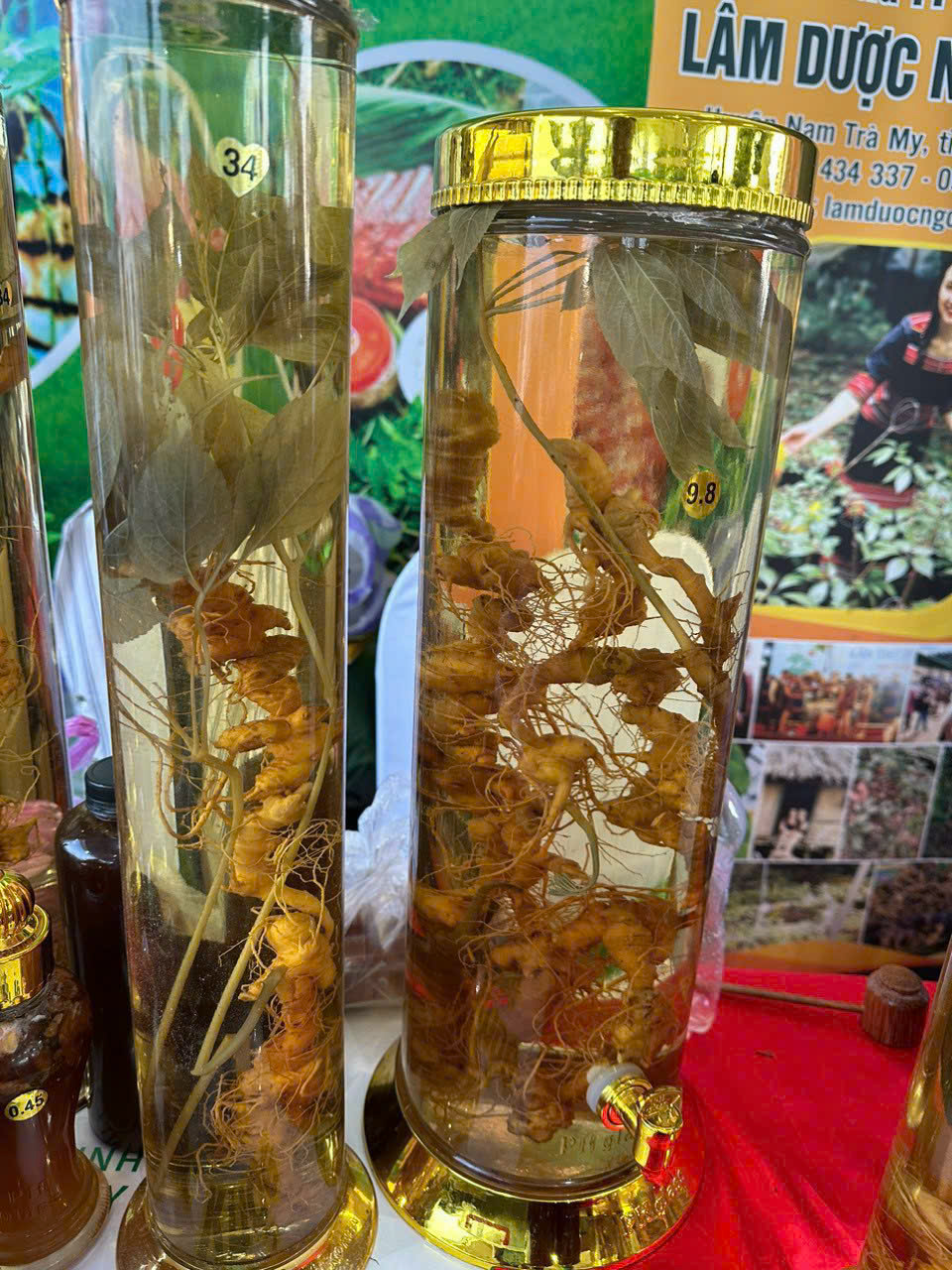 Rượu Sâm Ngọc Linh