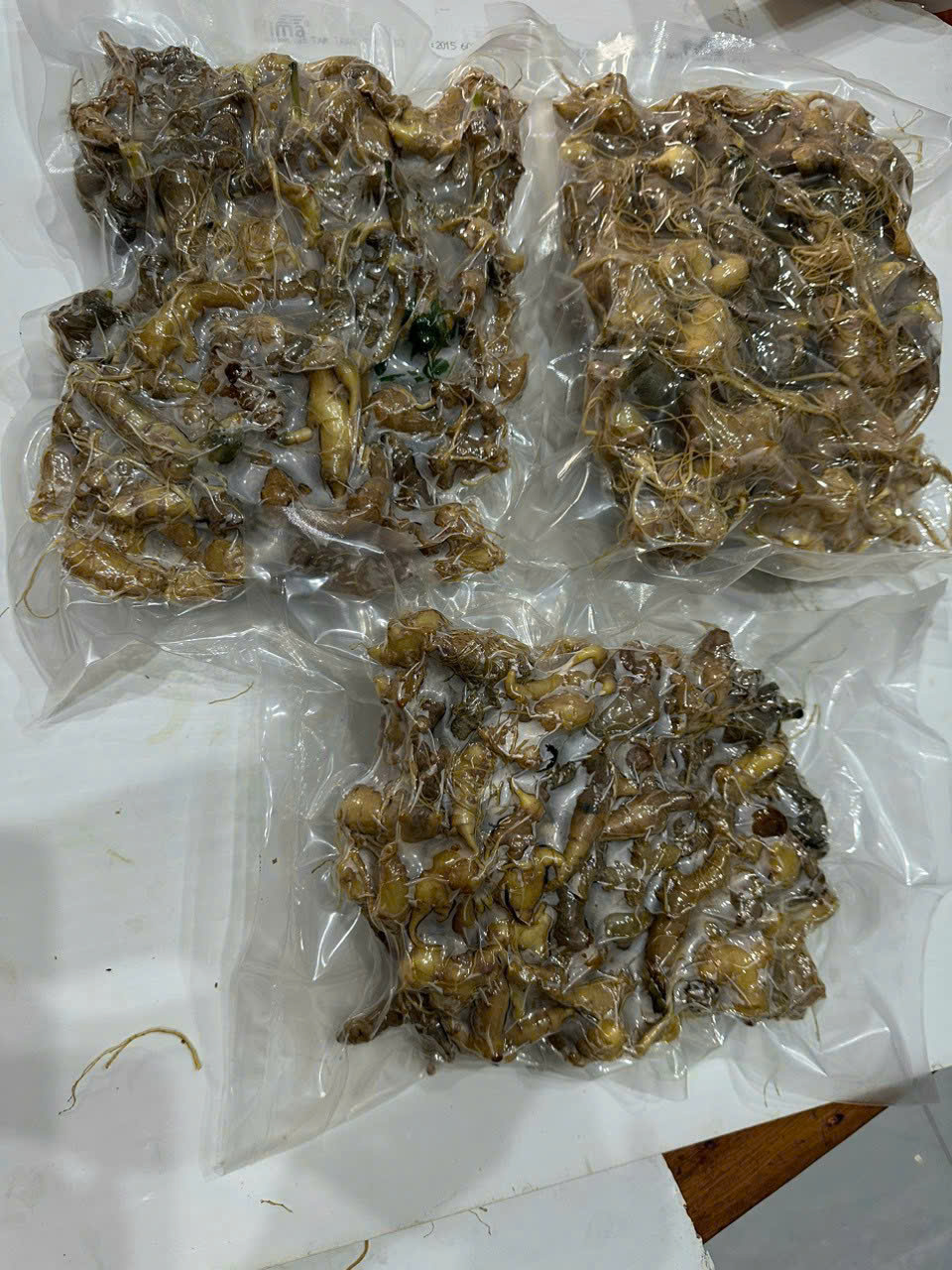 Sâm Ngọc Linh Được hút chân không