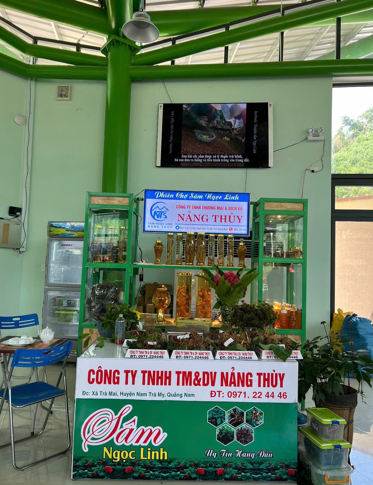 Địa Chỉ Uy Tín Mua Bán Sâm Ngọc Linh